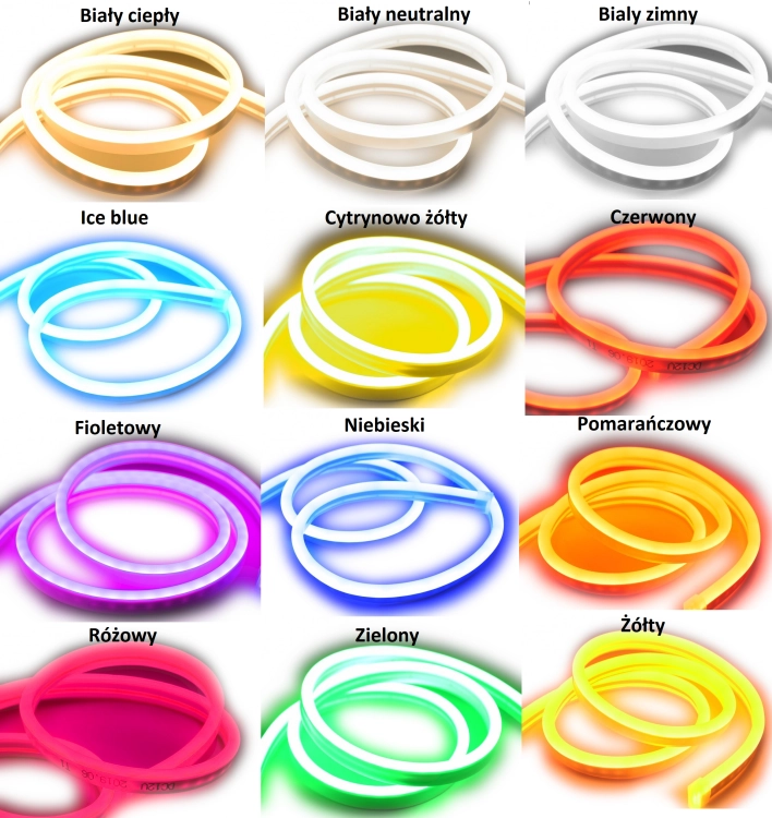 kolory-neonu.png