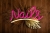 nails.jpg